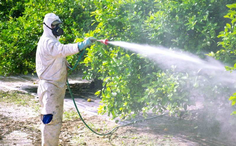 Fumigation Service in Ann Arbor, MI