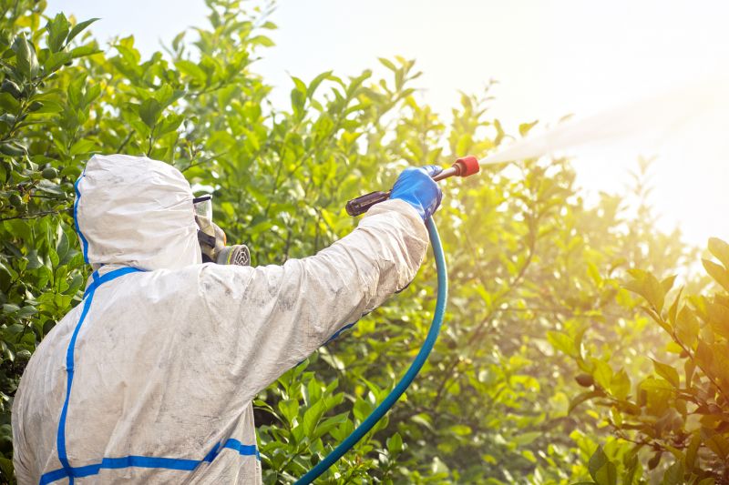 Pest Fumigation Service in San Antonio, TX