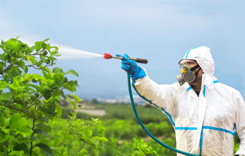 Pest Fumigation Service in Madison, WI