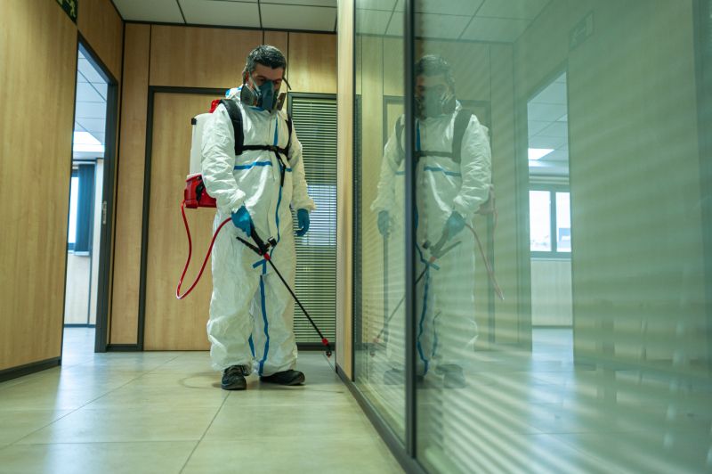 Rat Fumigation Service in Bellingham, WA