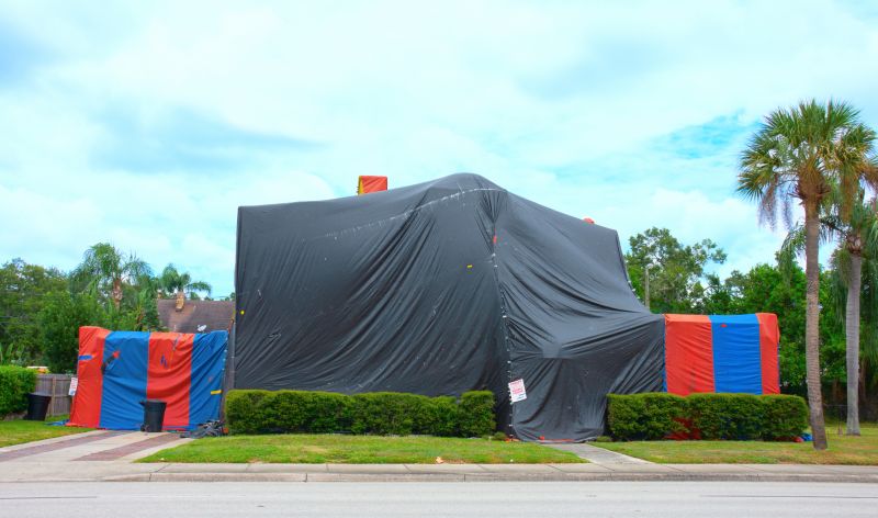 Termite Tenting in Ann Arbor, MI